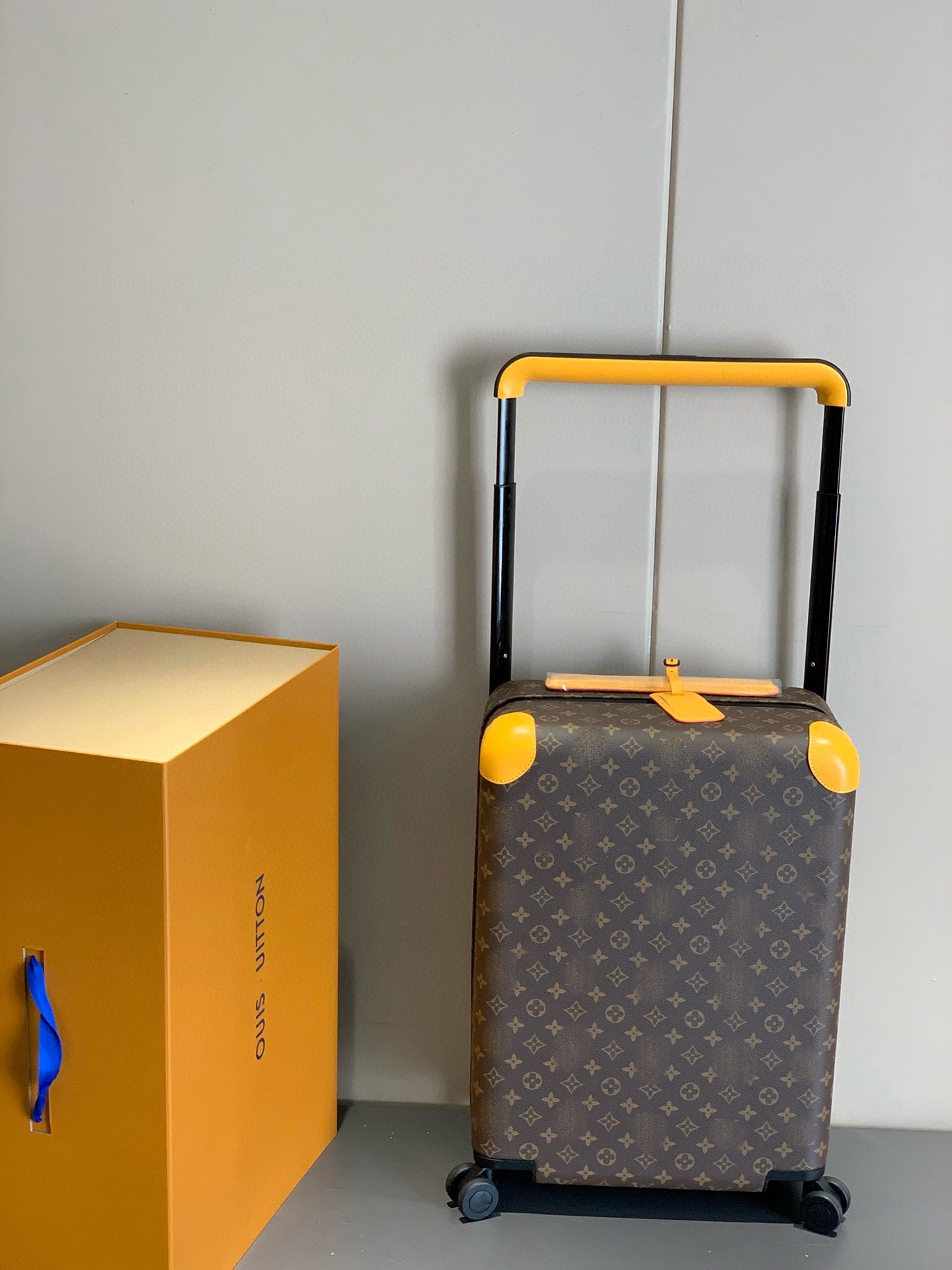 LV luggage-57