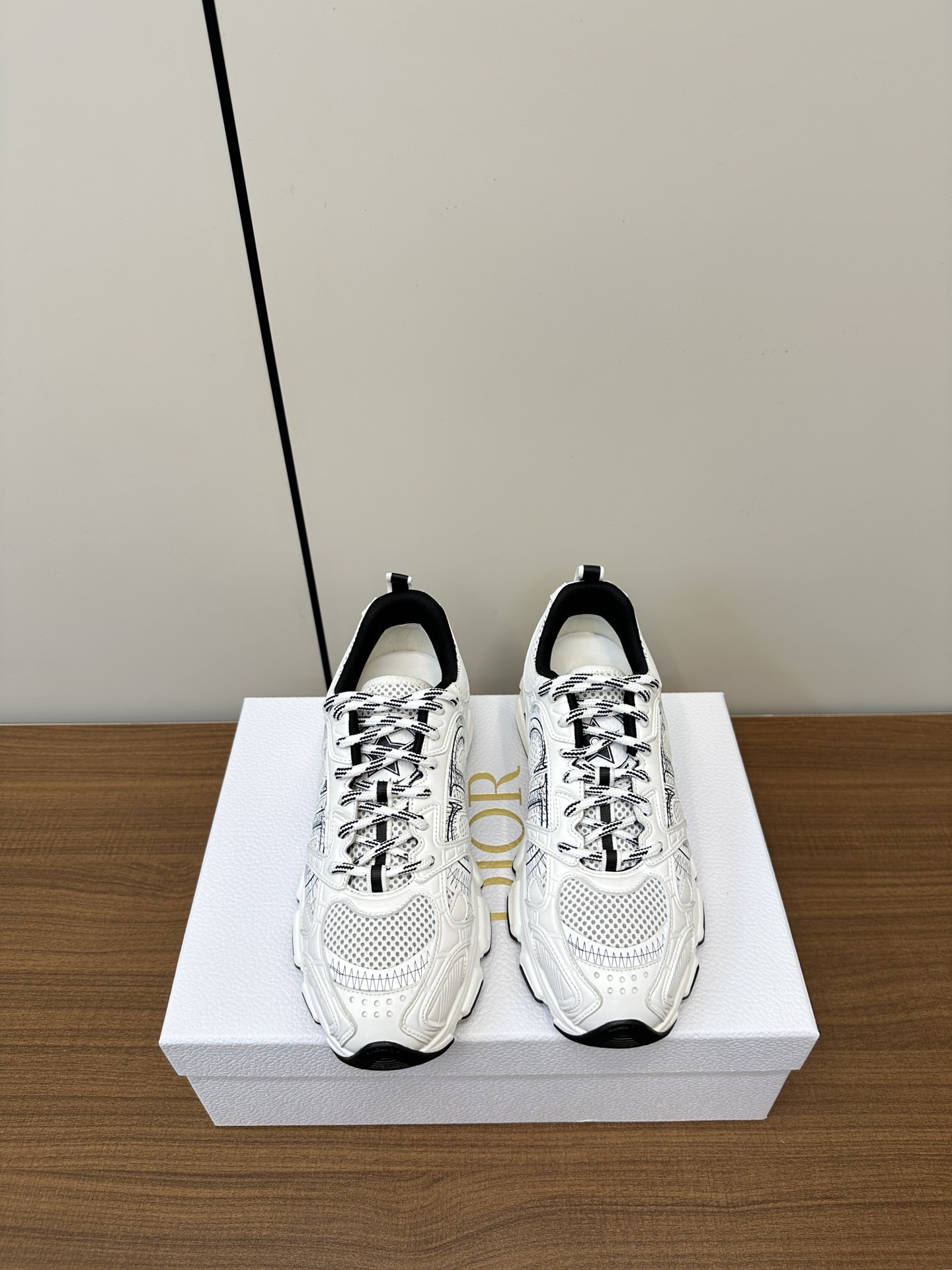 Dior Sneakers-49