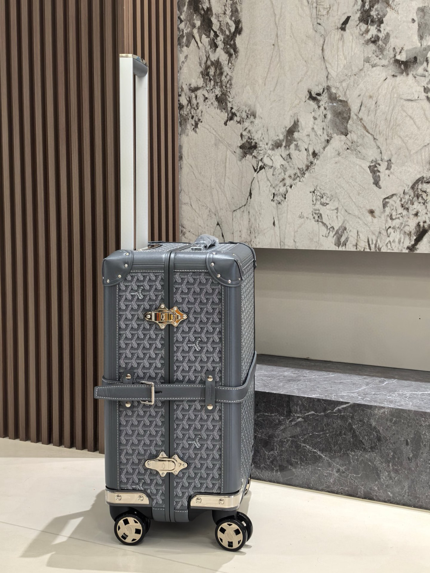 Goyard luggage-43