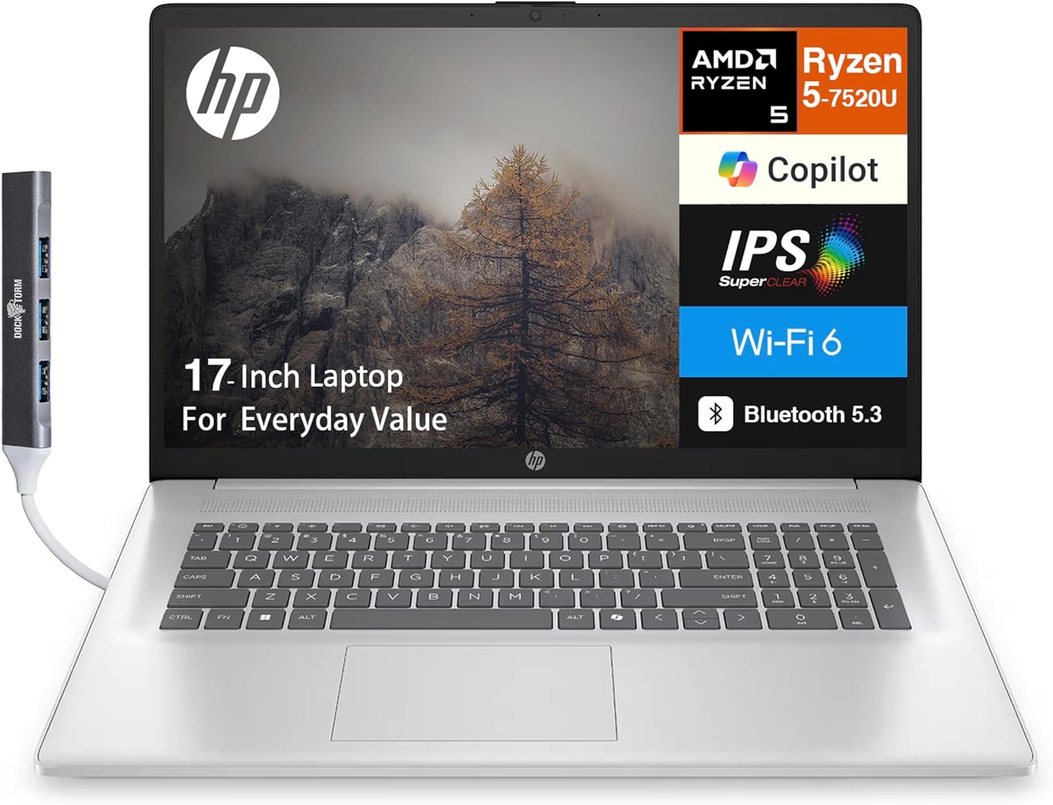 HP 17 Everyday Value Laptop 17.3