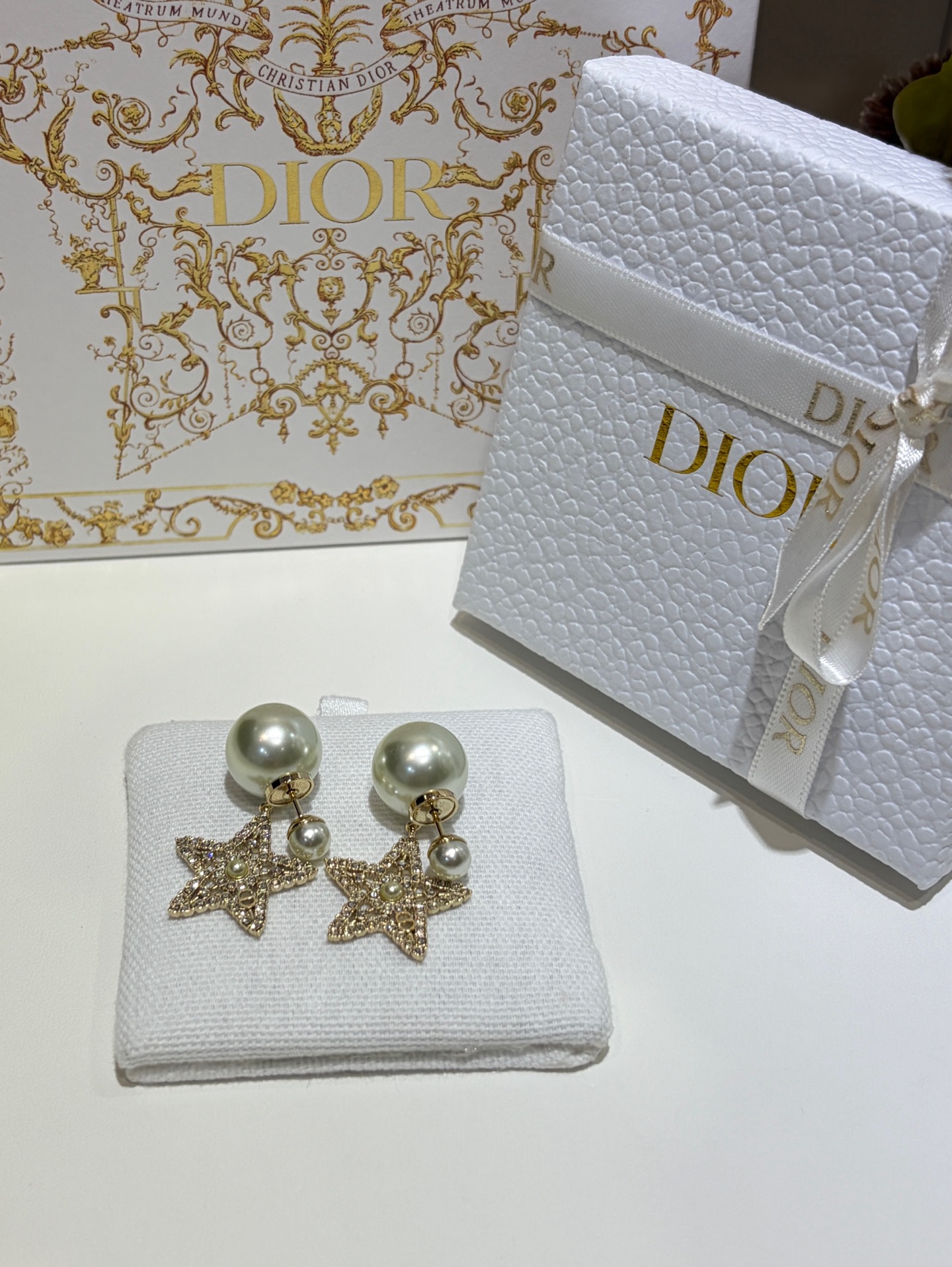 Dior earrings-55