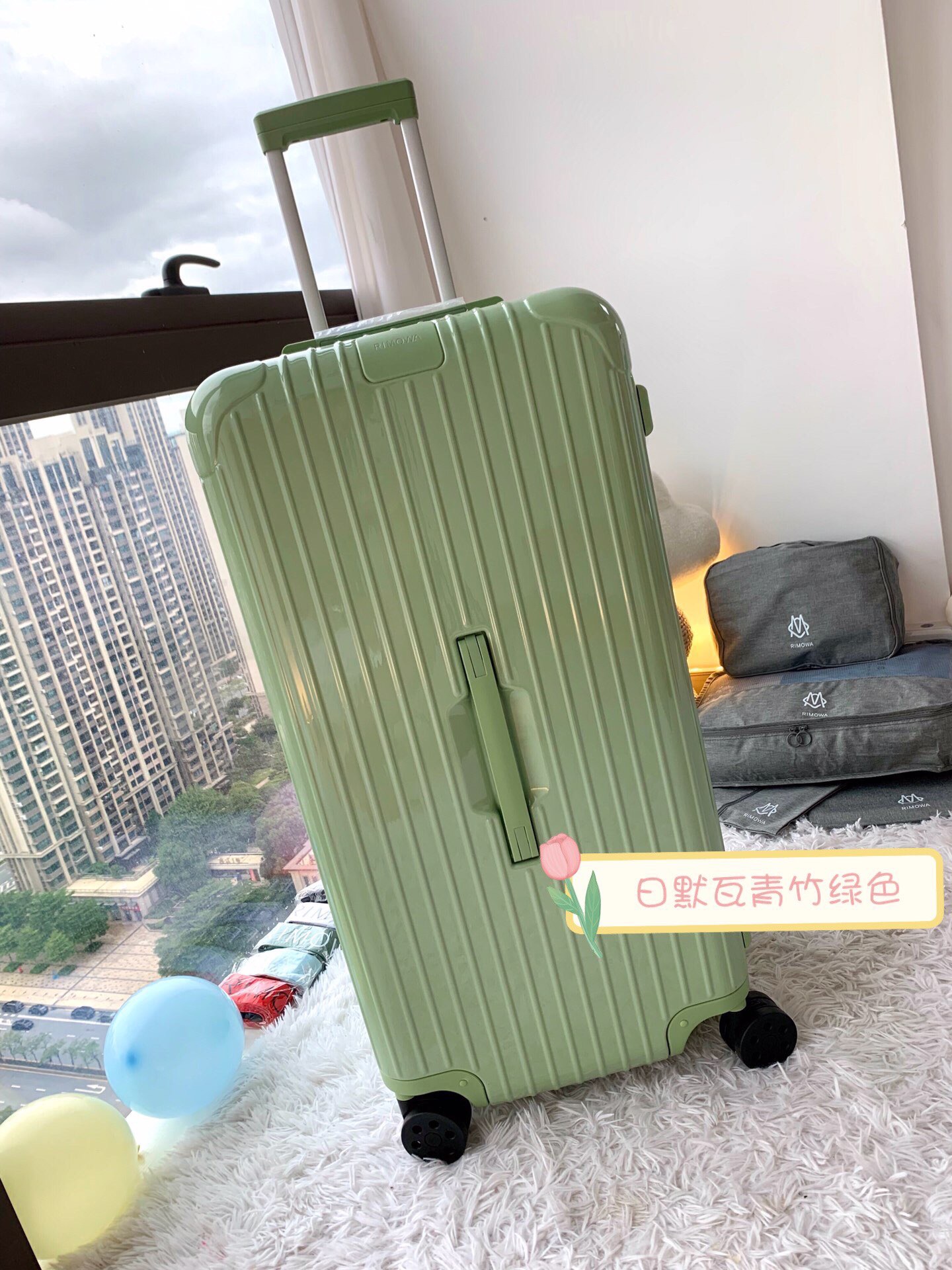 RIMOWA luggage-108