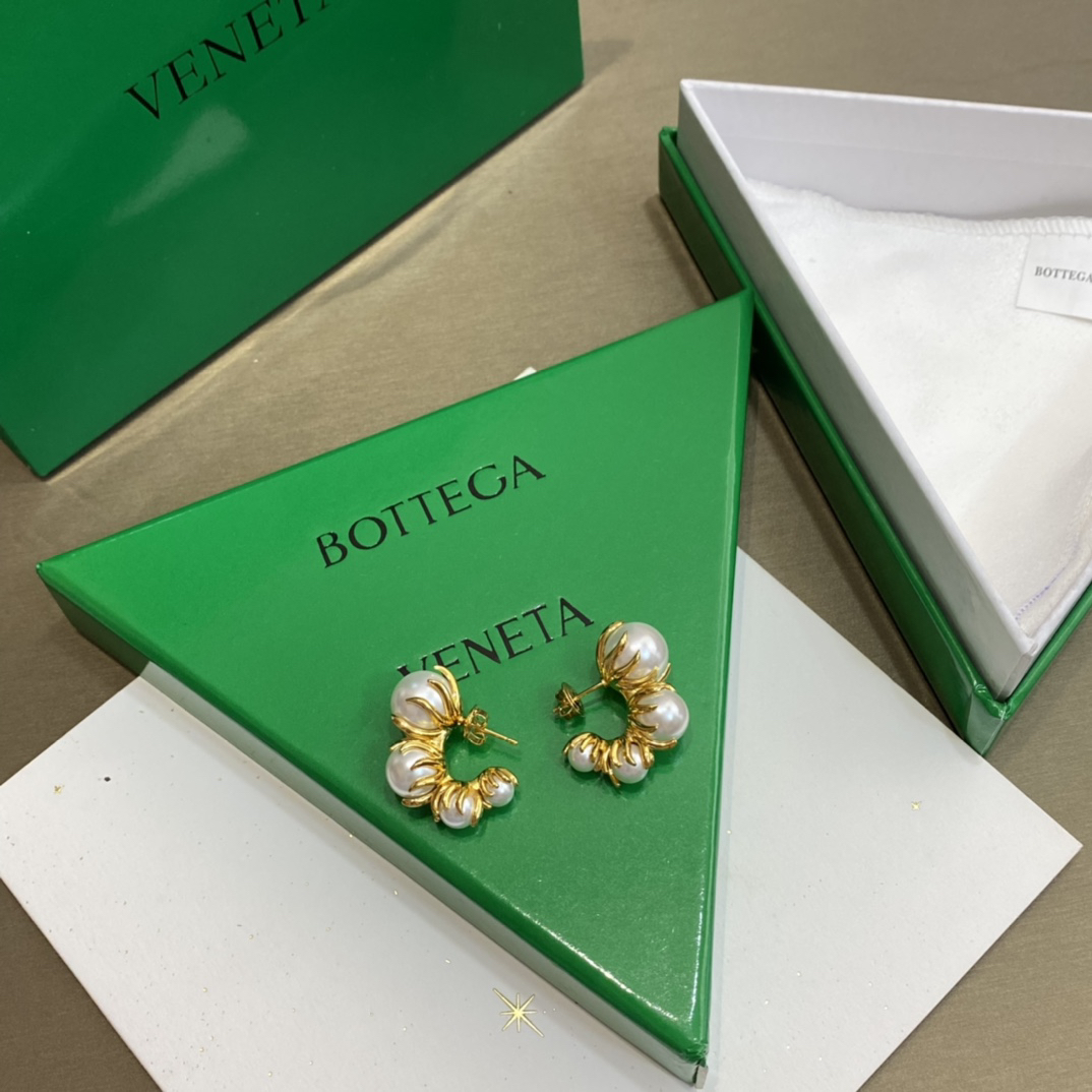 Bottega Veneta earrings-13