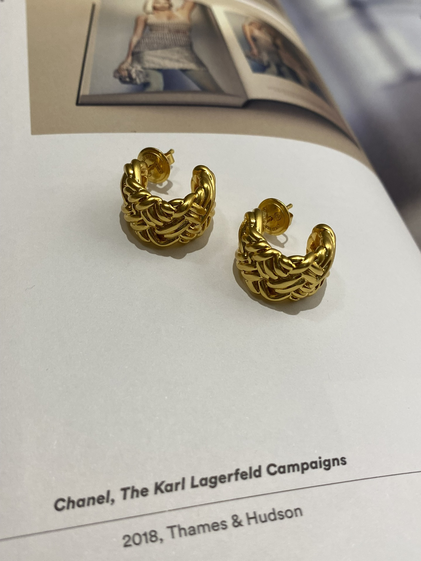 Bottega Veneta earrings-49