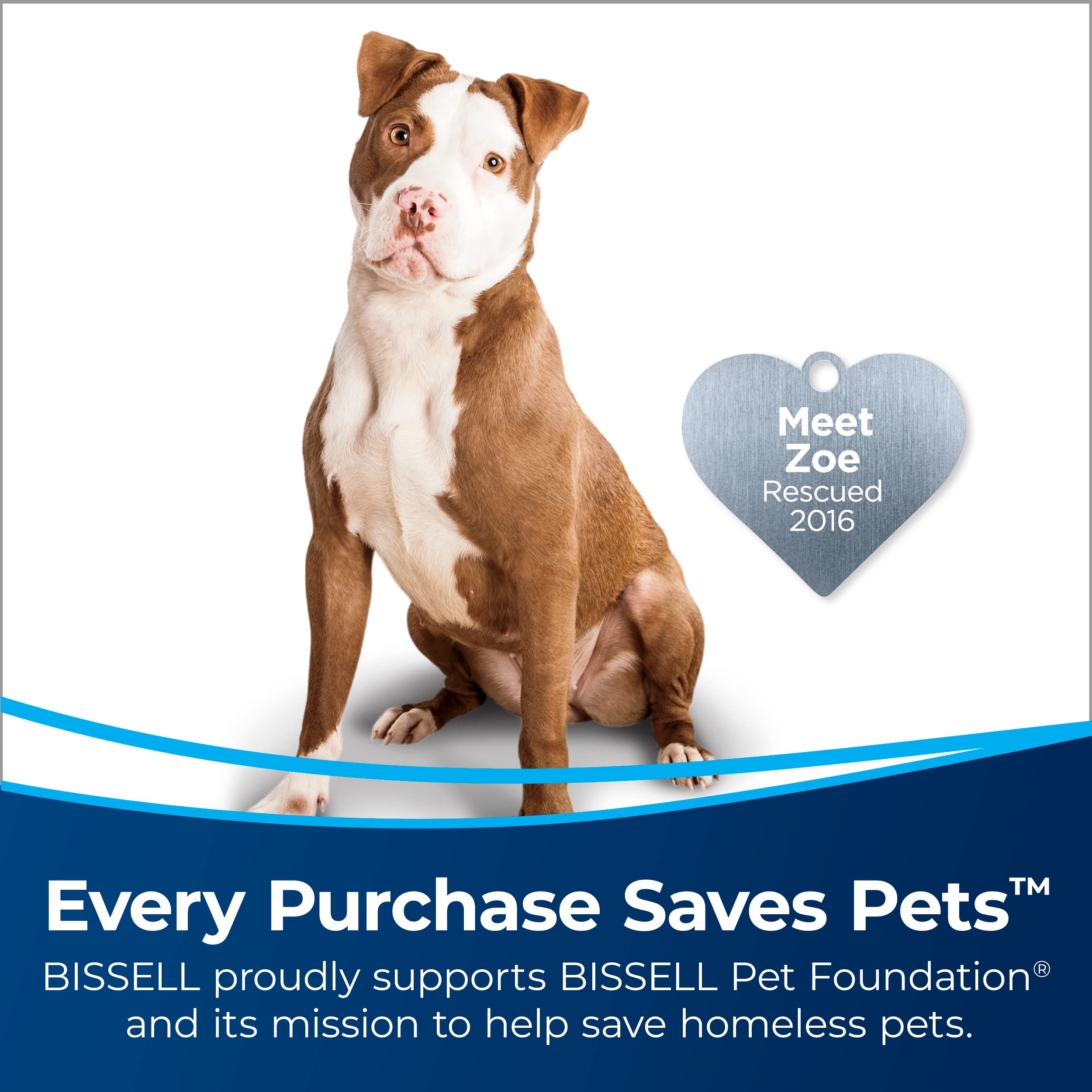 BISSELL 2252 CleanView Swivel Bagless Vacuum for Pets