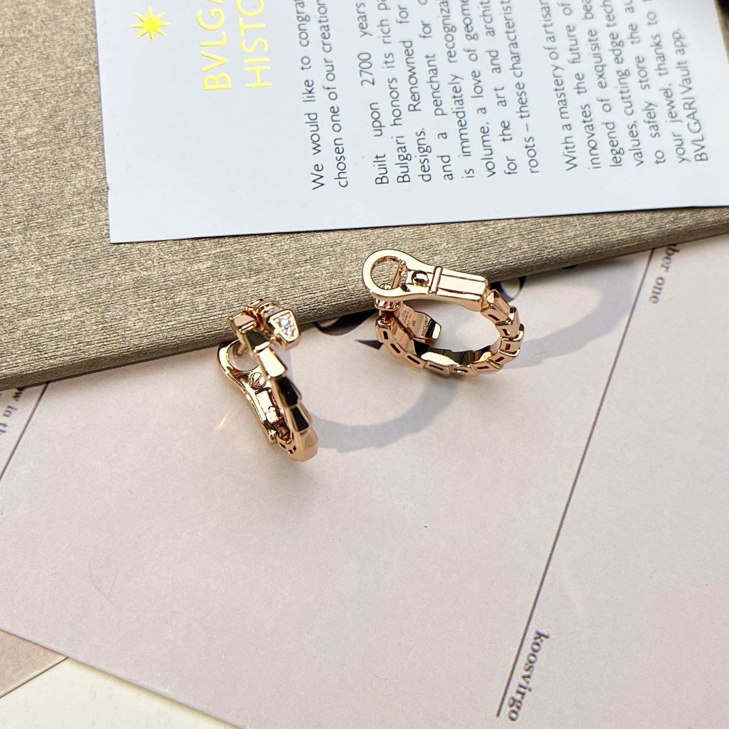 Bottega Veneta earrings-27