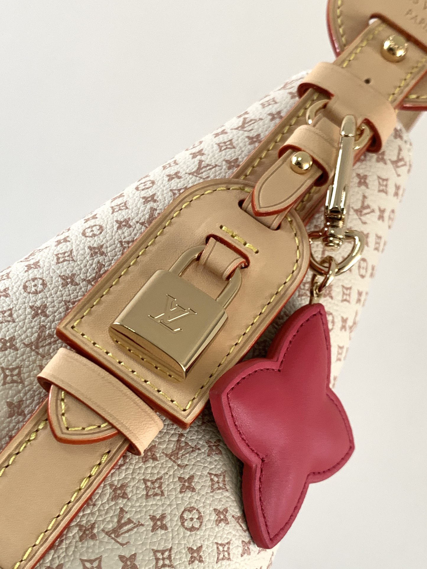 Louis Vuitton Hot New Product-199
