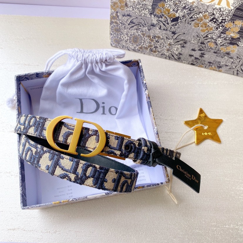 Dior belt-30