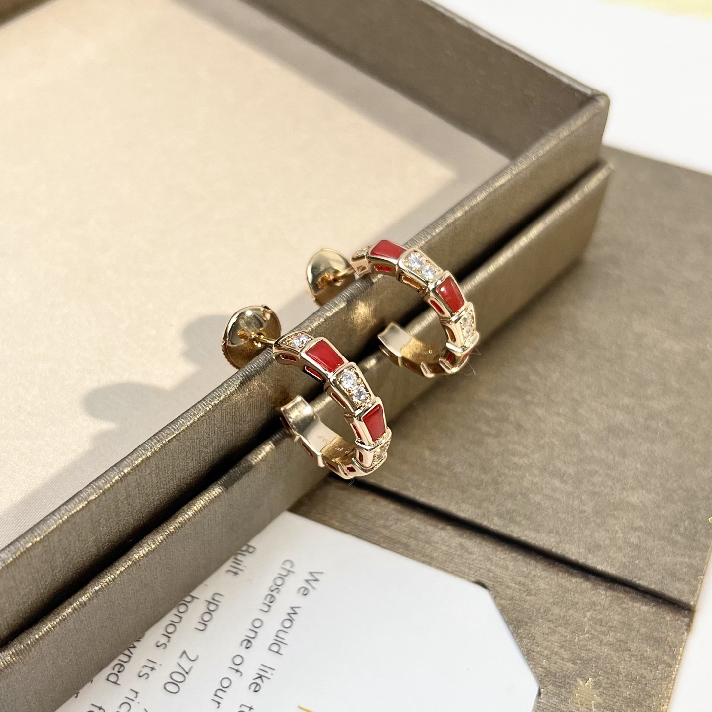 Bottega Veneta earrings-19