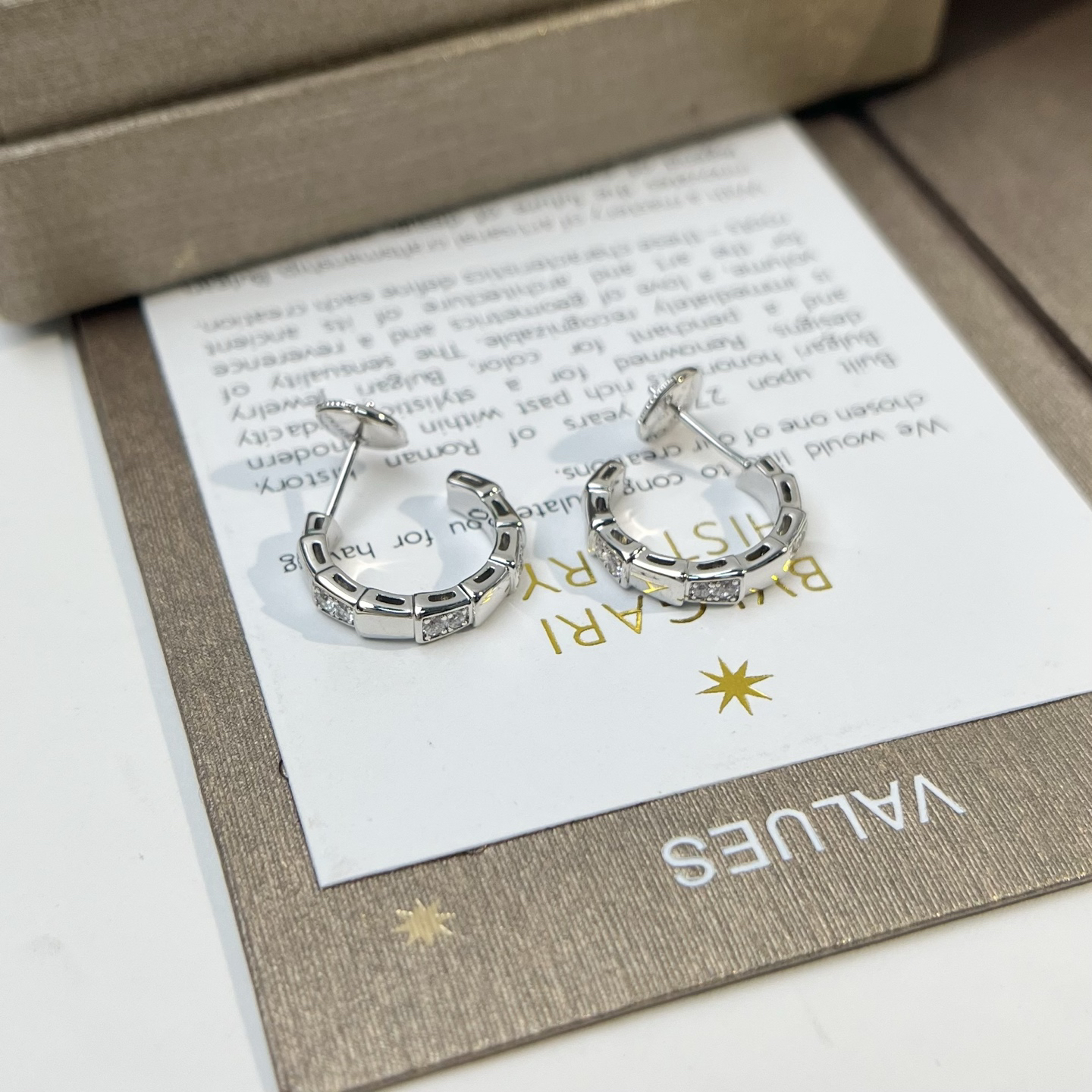 Bottega Veneta earrings-46