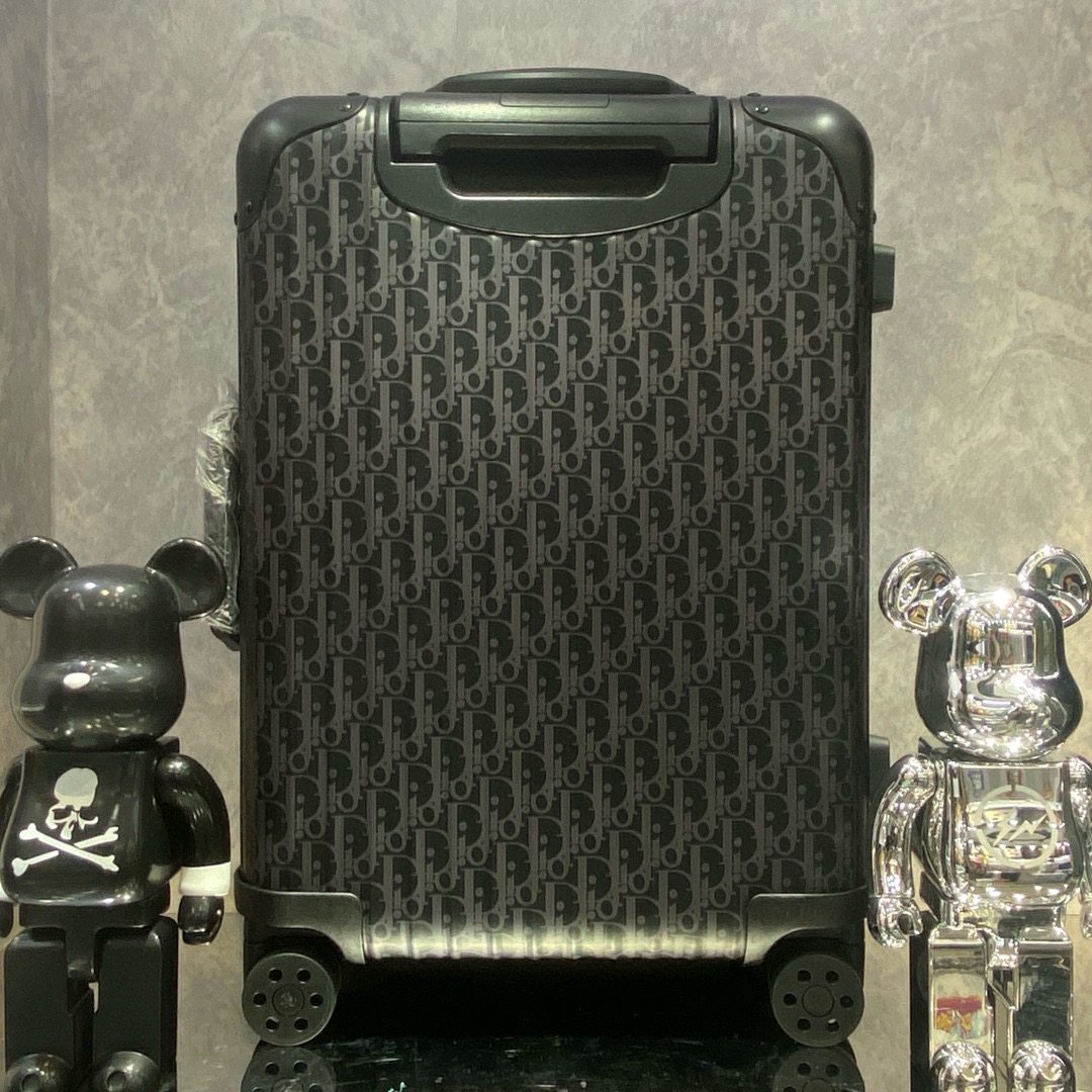 Dior luggage-16