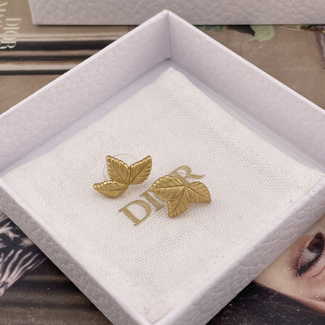 Dior earrings-30