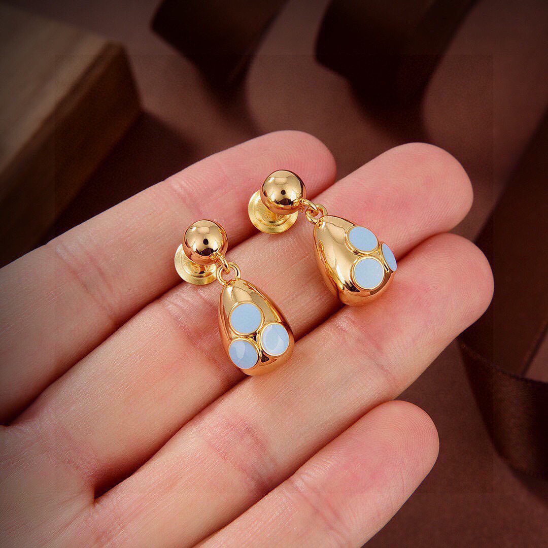 Bottega Veneta earrings-9