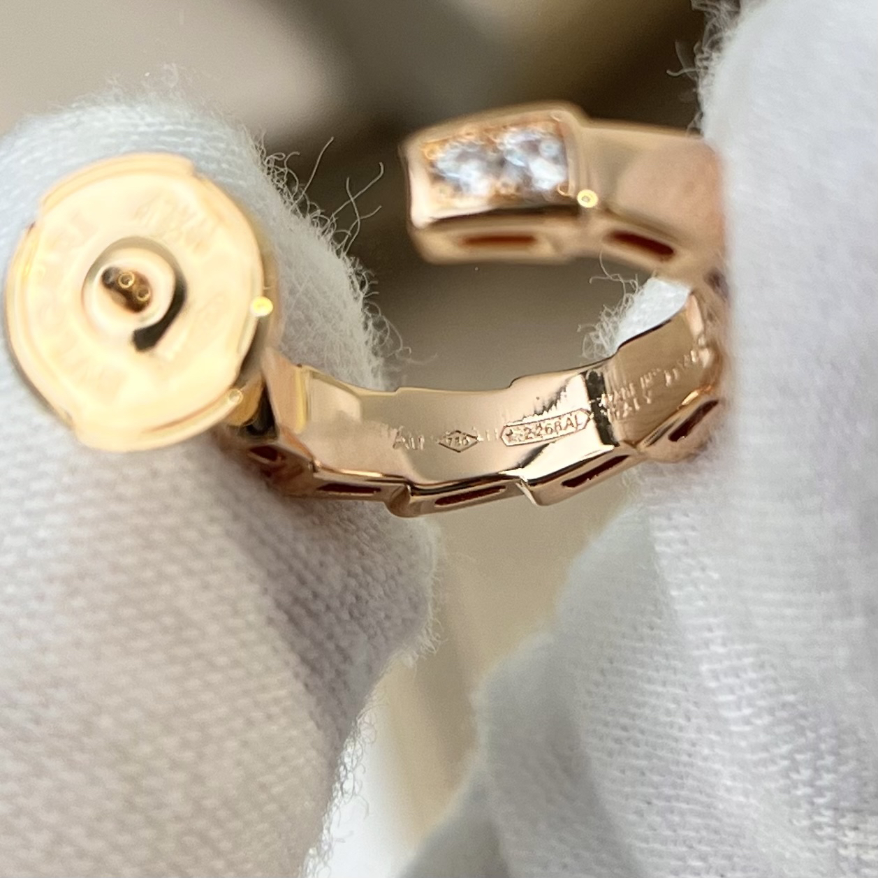 Bottega Veneta earrings-45