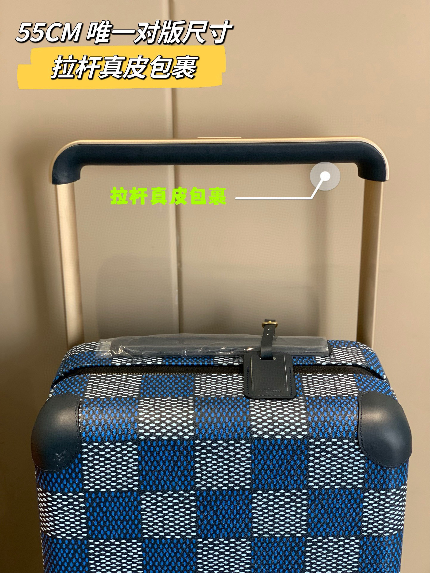 LV luggage-58