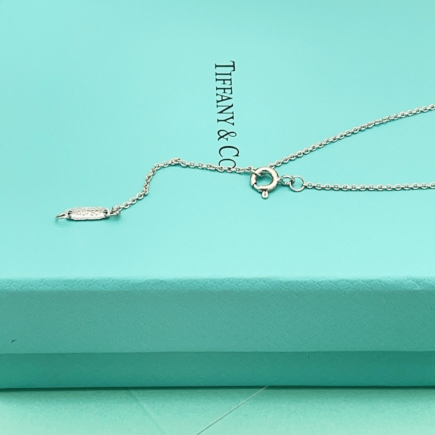 tiffany necklace-66