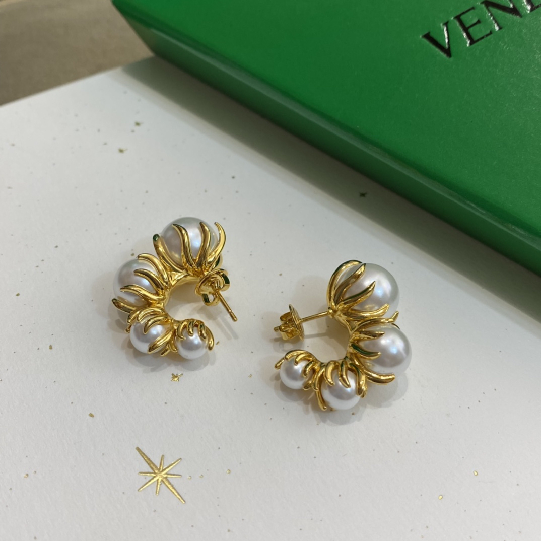 Bottega Veneta earrings-13