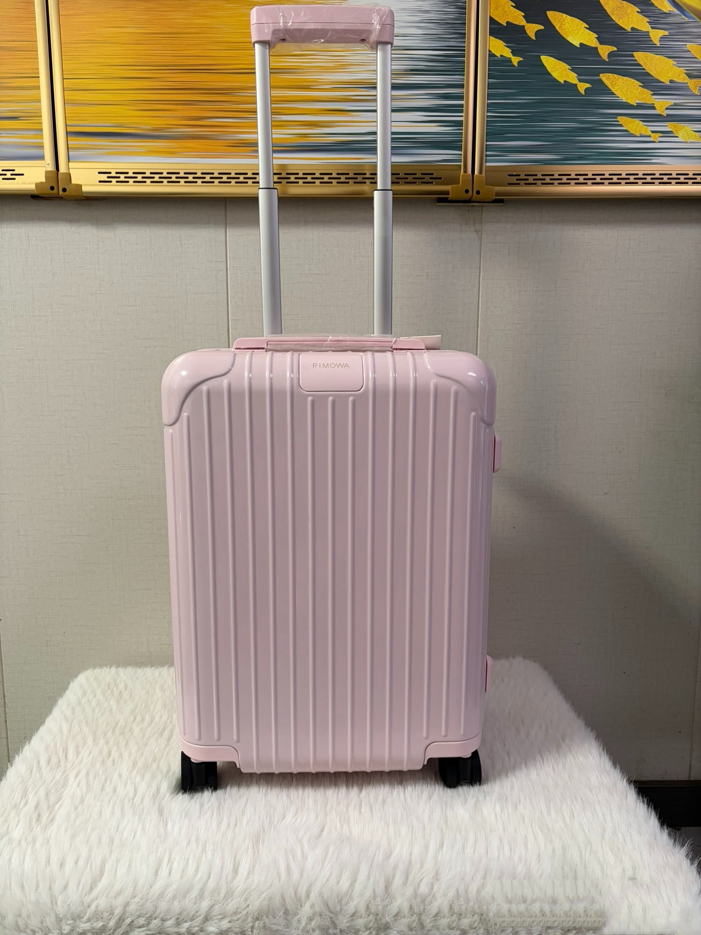 RIMOWA luggage-109