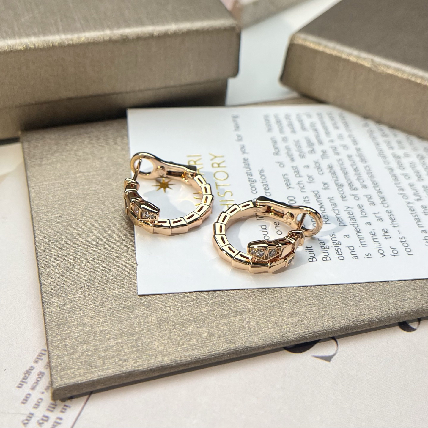 Bottega Veneta earrings-27