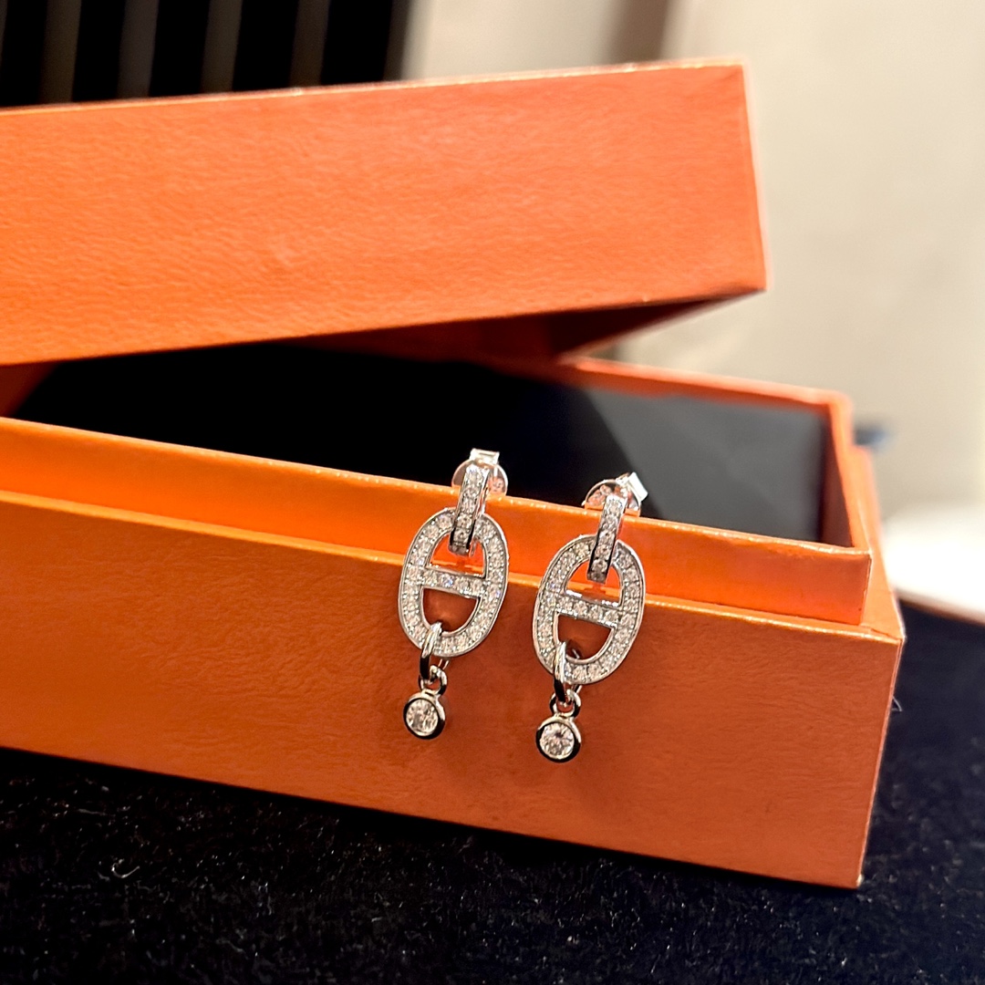 Hermes earrings-77