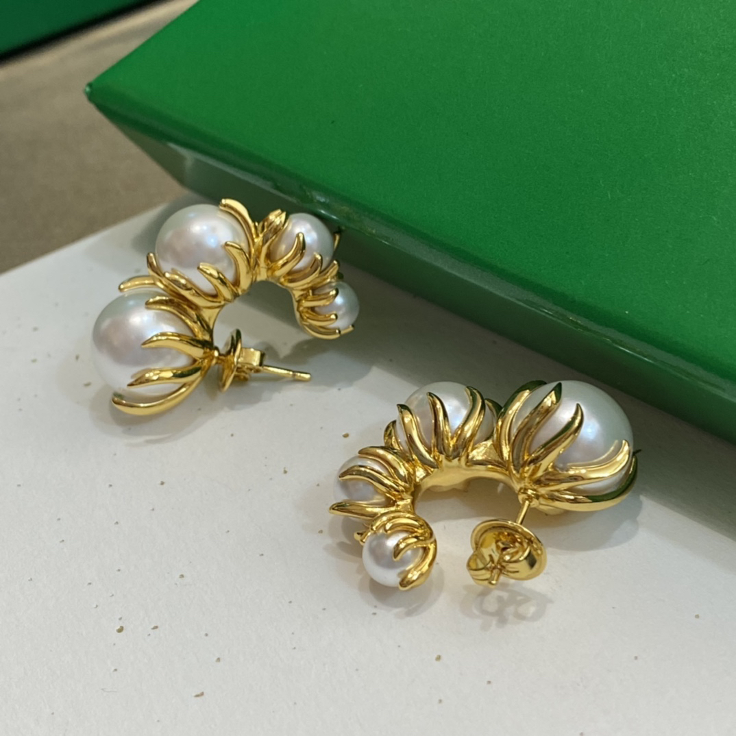Bottega Veneta earrings-13
