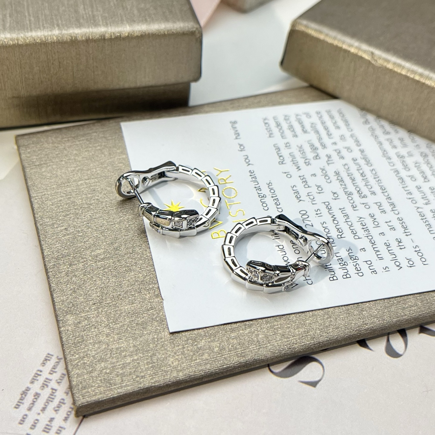 Bottega Veneta earrings-26