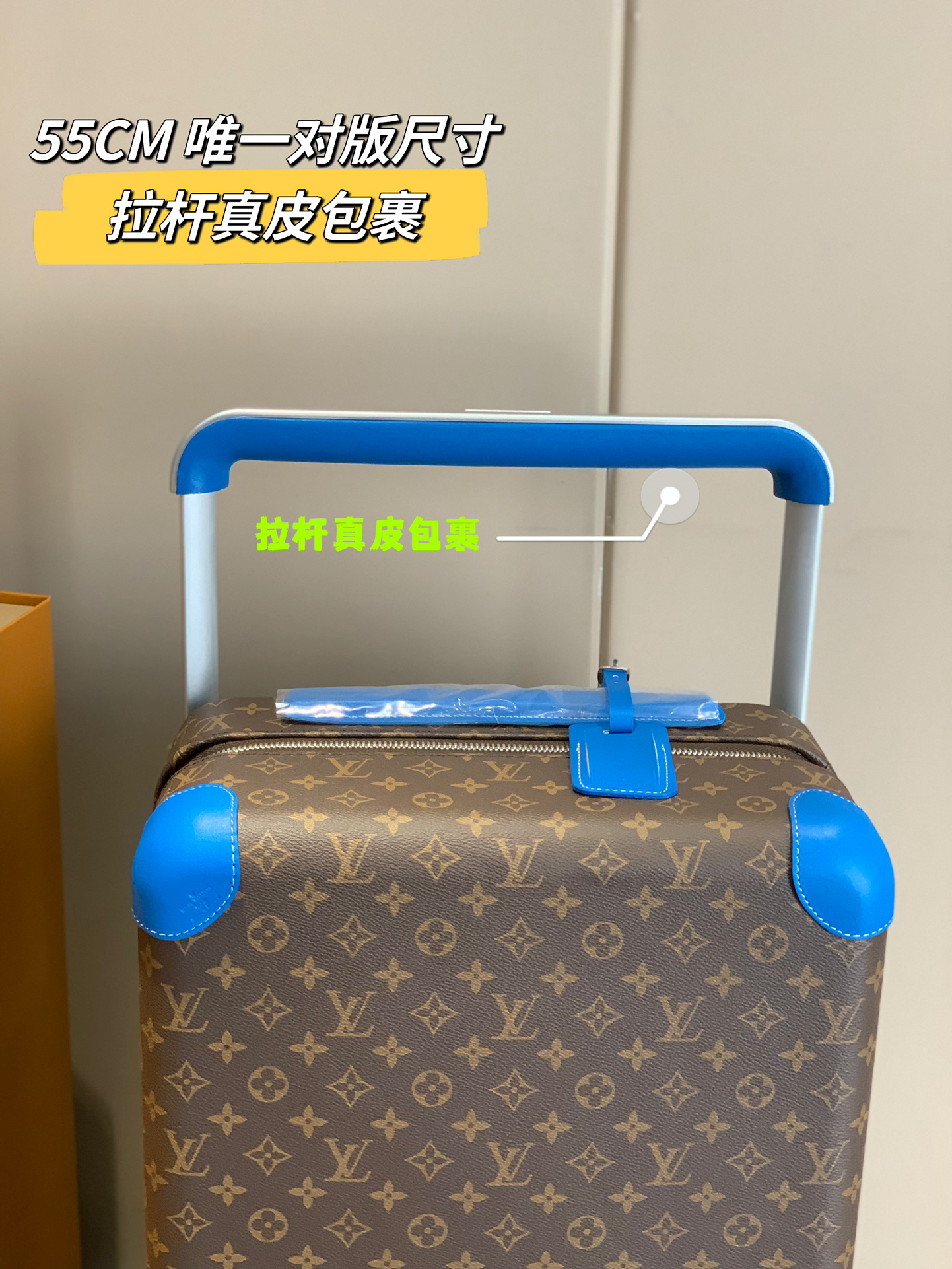 LV luggage-23