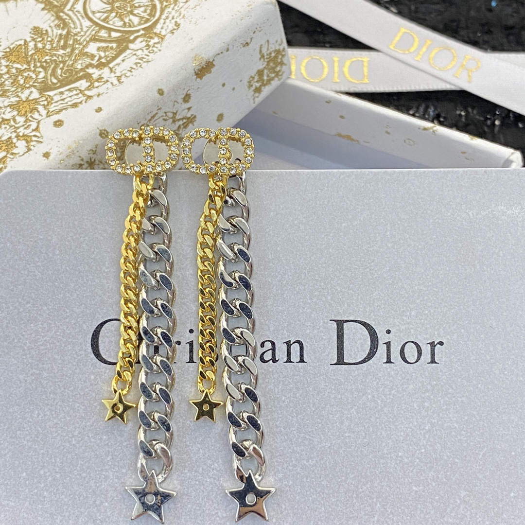 Dior earrings-85