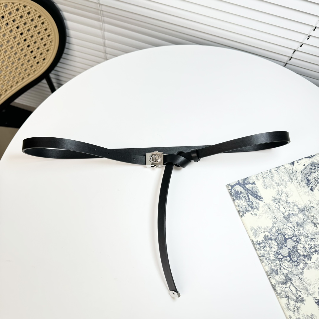 Dior belt-56