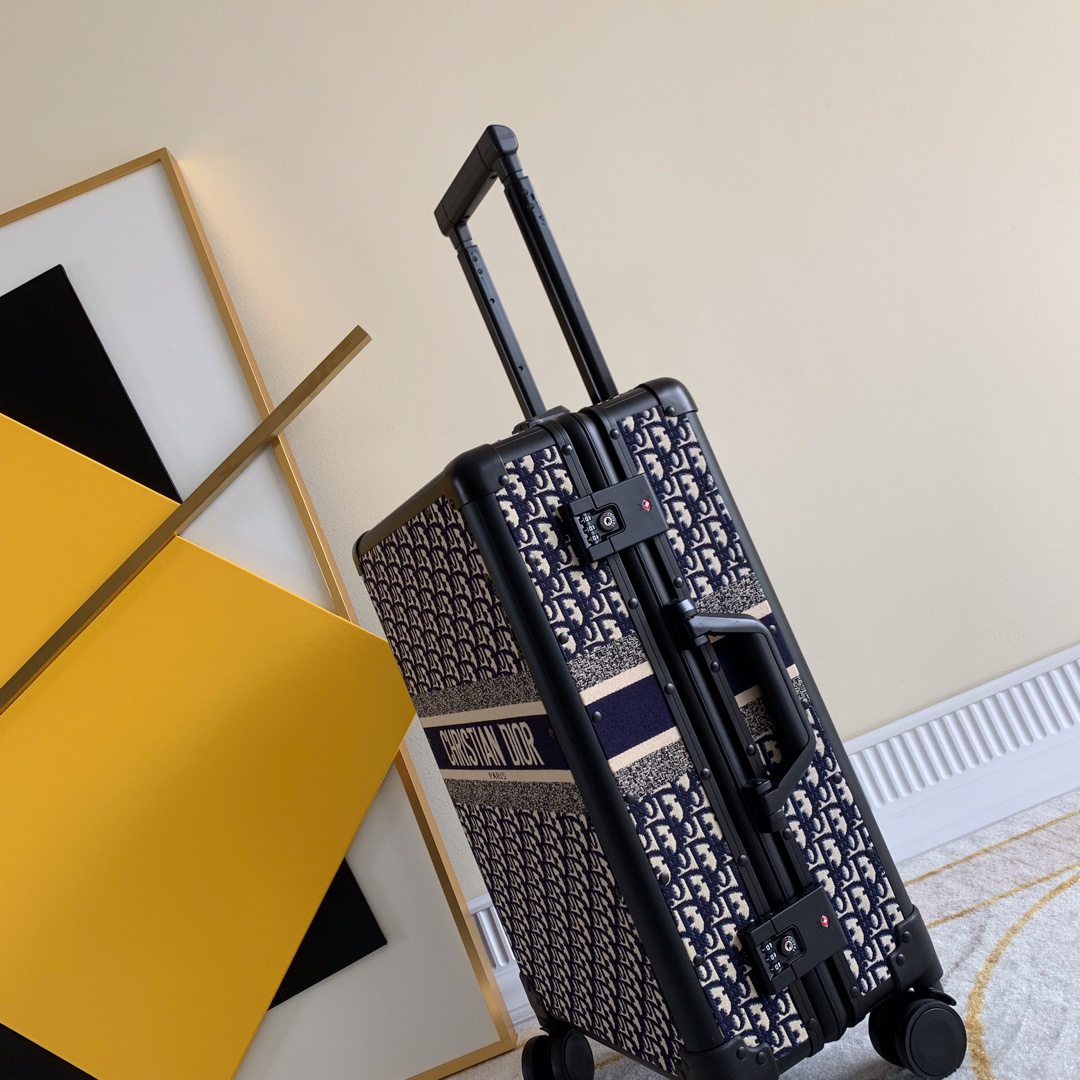Dior luggage-31