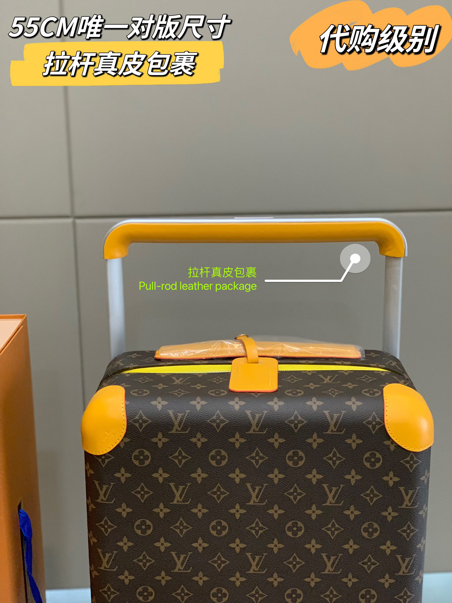 LV luggage-87