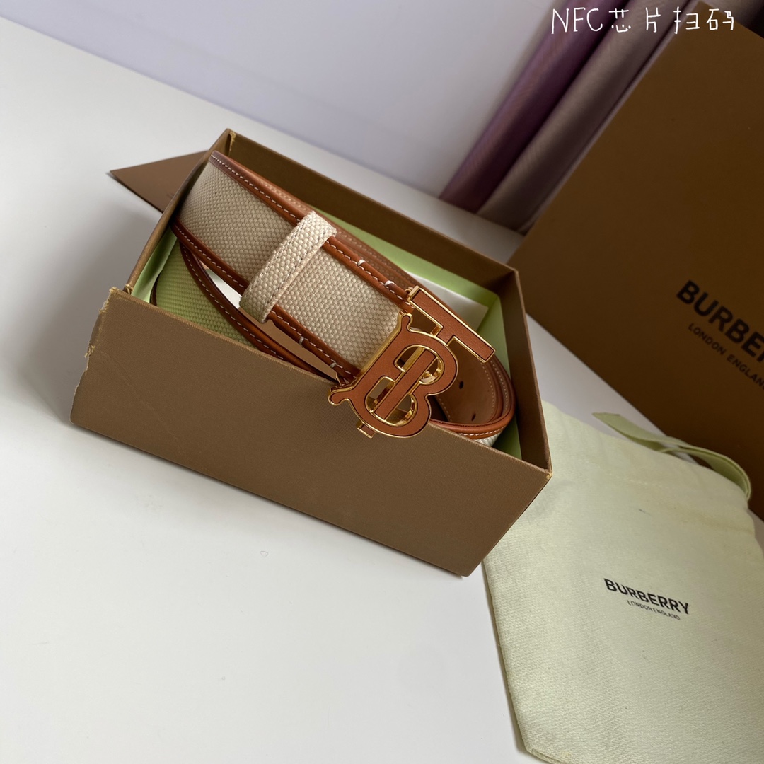 Burberry belt-2