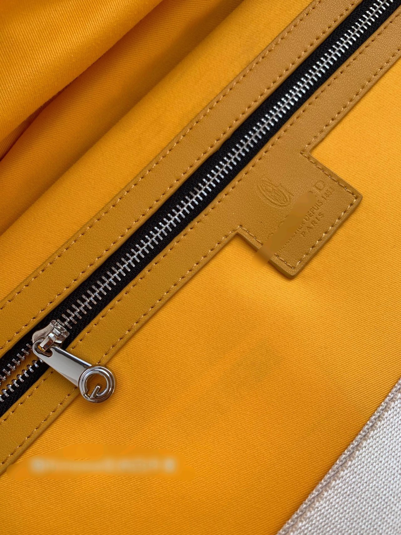Goyard luggage-45