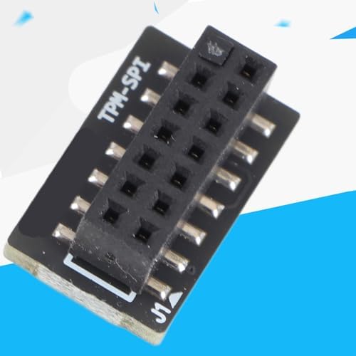 TPM Module 14 Pin SPI Remote Card Encryption Security Board for Motherboard