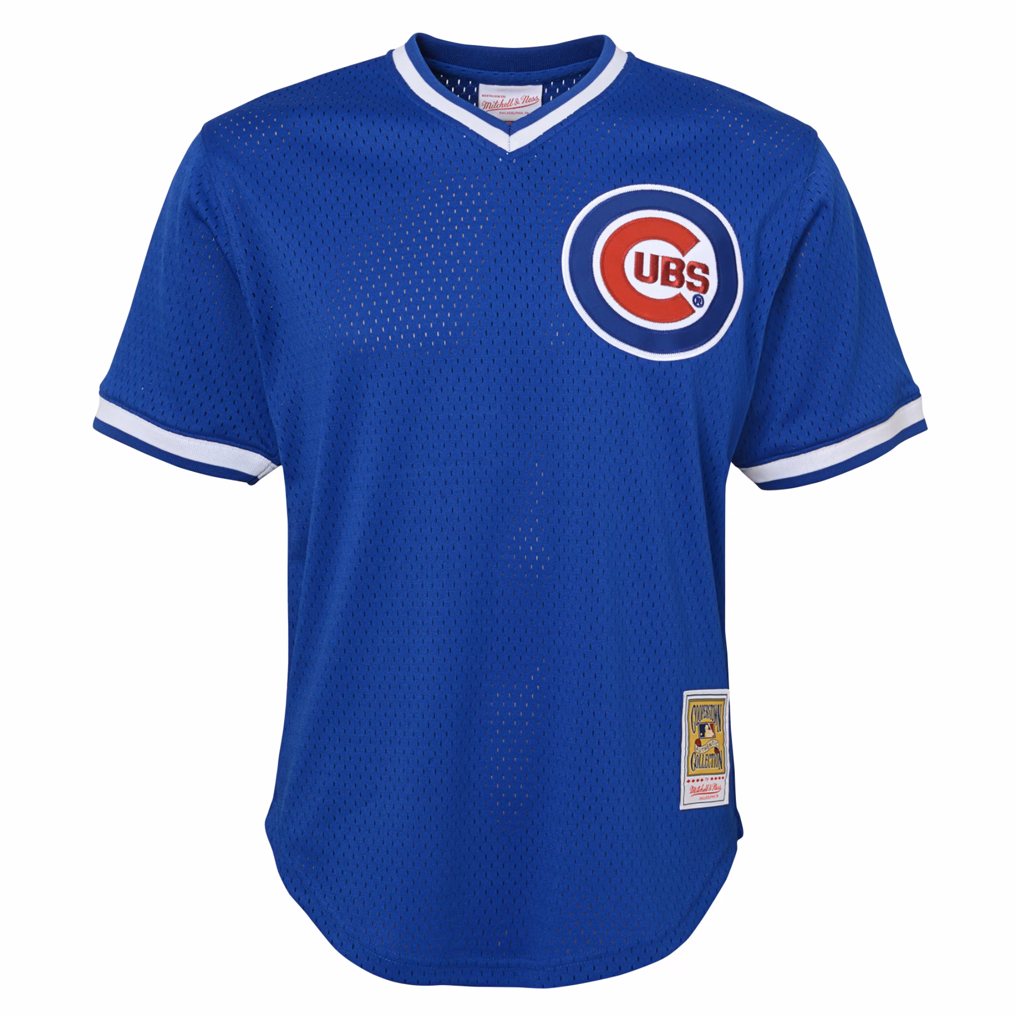 Ryne Sandberg Chicago Cubs Mitchell & Ness Youth Cooperstown Collection Mesh Batting Practice Jersey - Royal
