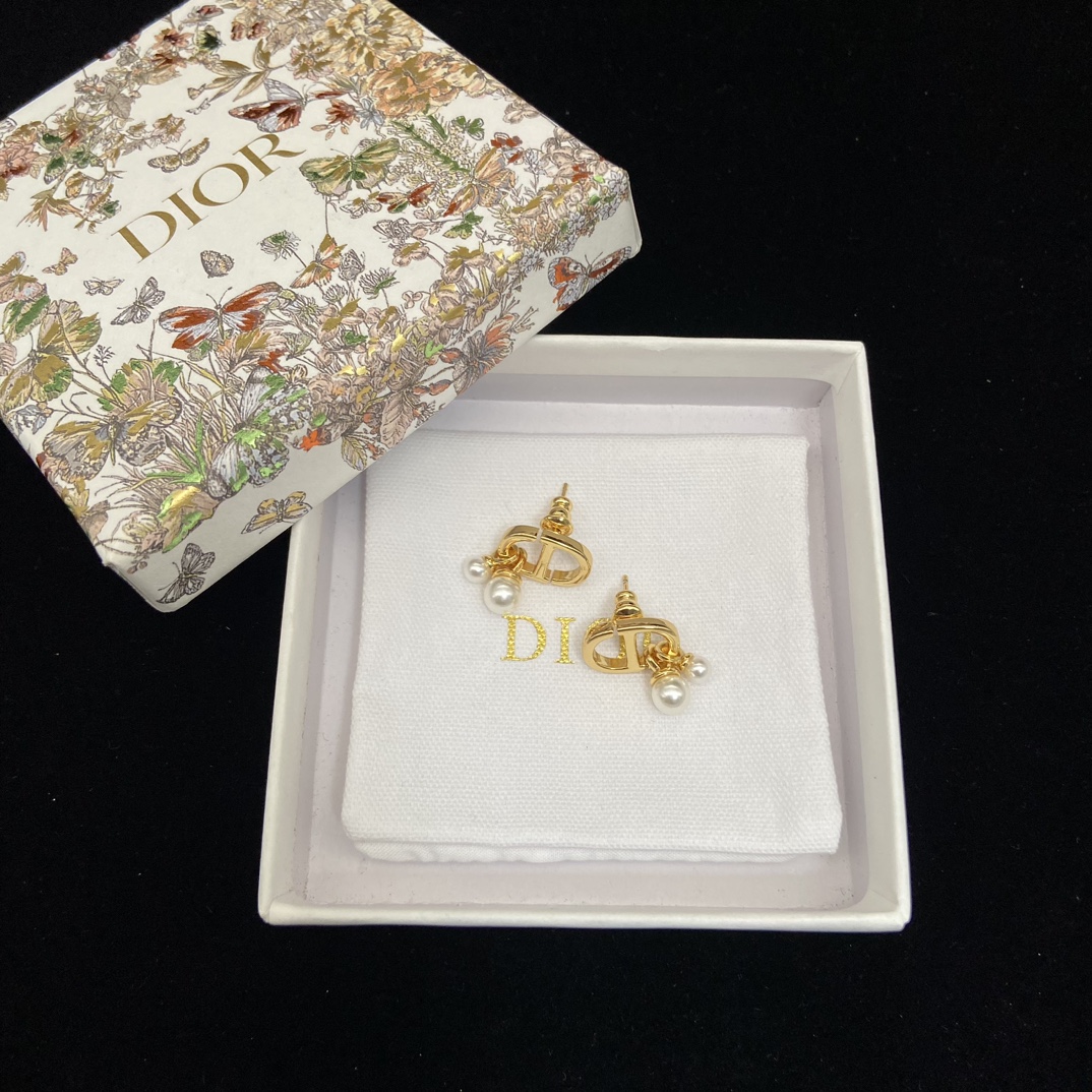 Dior earrings-36