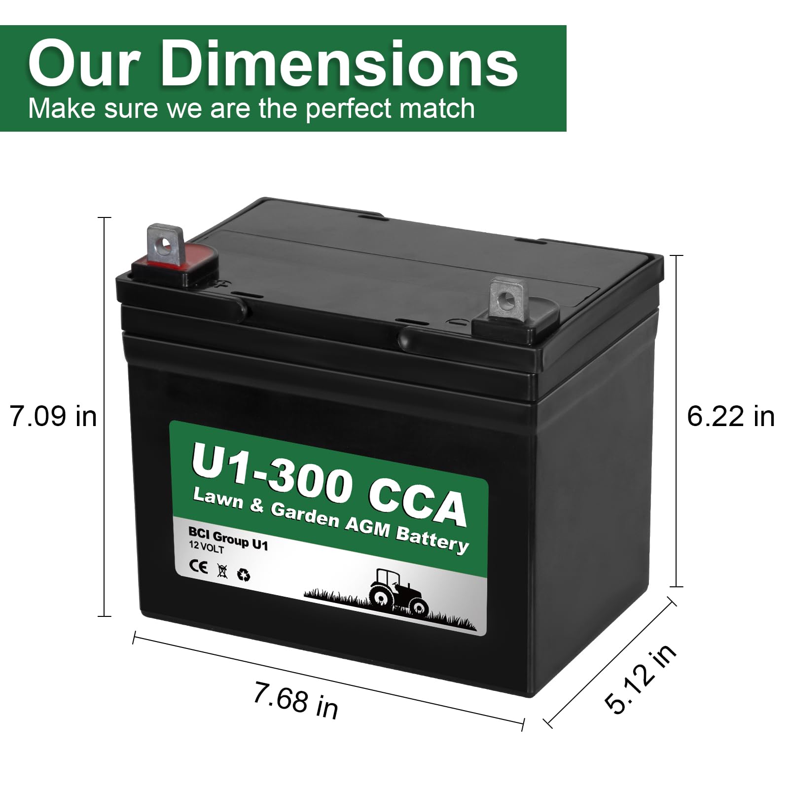 WEIZE Lawn Garden AGM Battery 12V 300CCA BCI Group U1