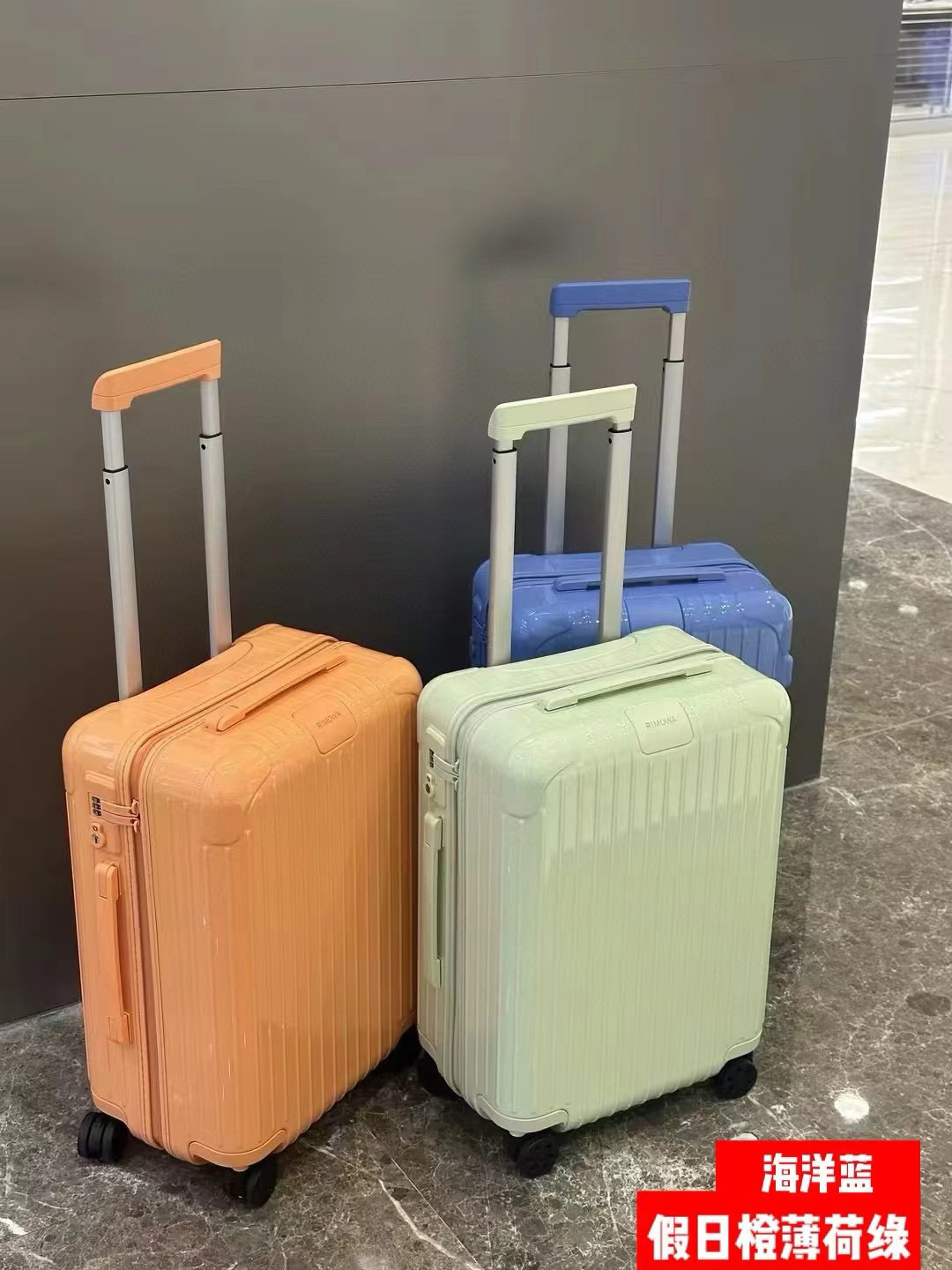 RIMOWA luggage-88