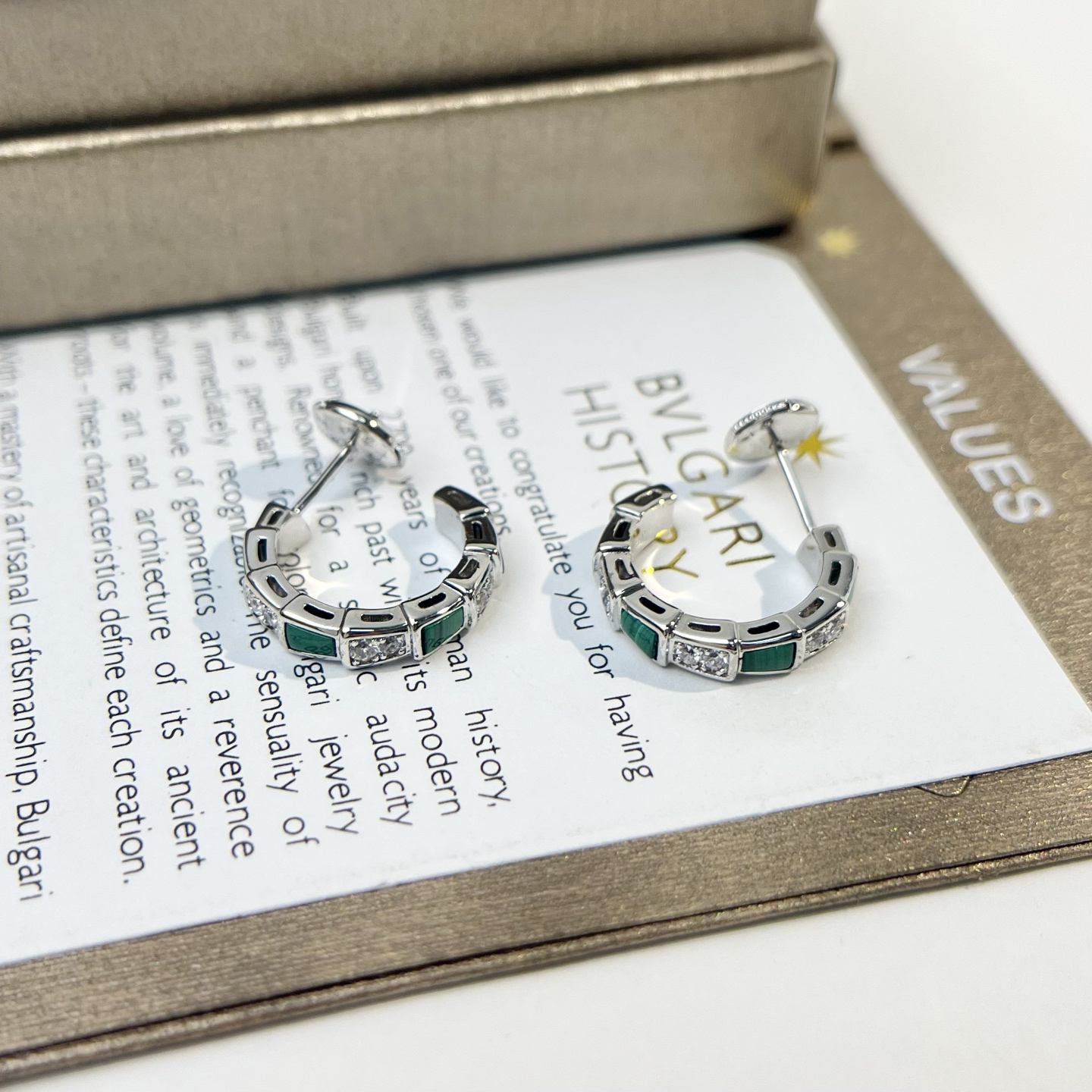 Bottega Veneta earrings-6