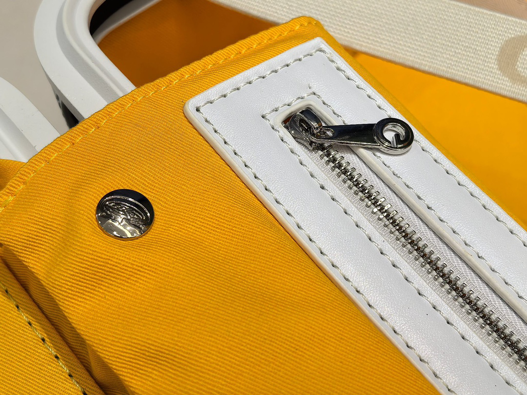 Goyard luggage-21