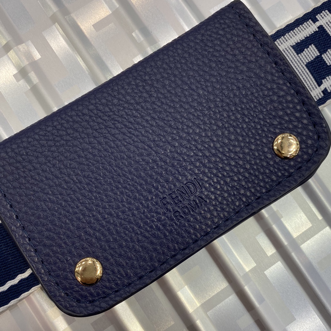 Fendi luggage-14