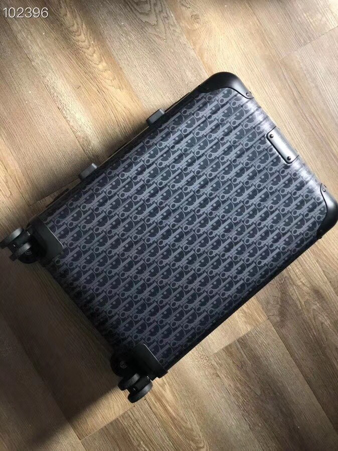 Dior luggage-17