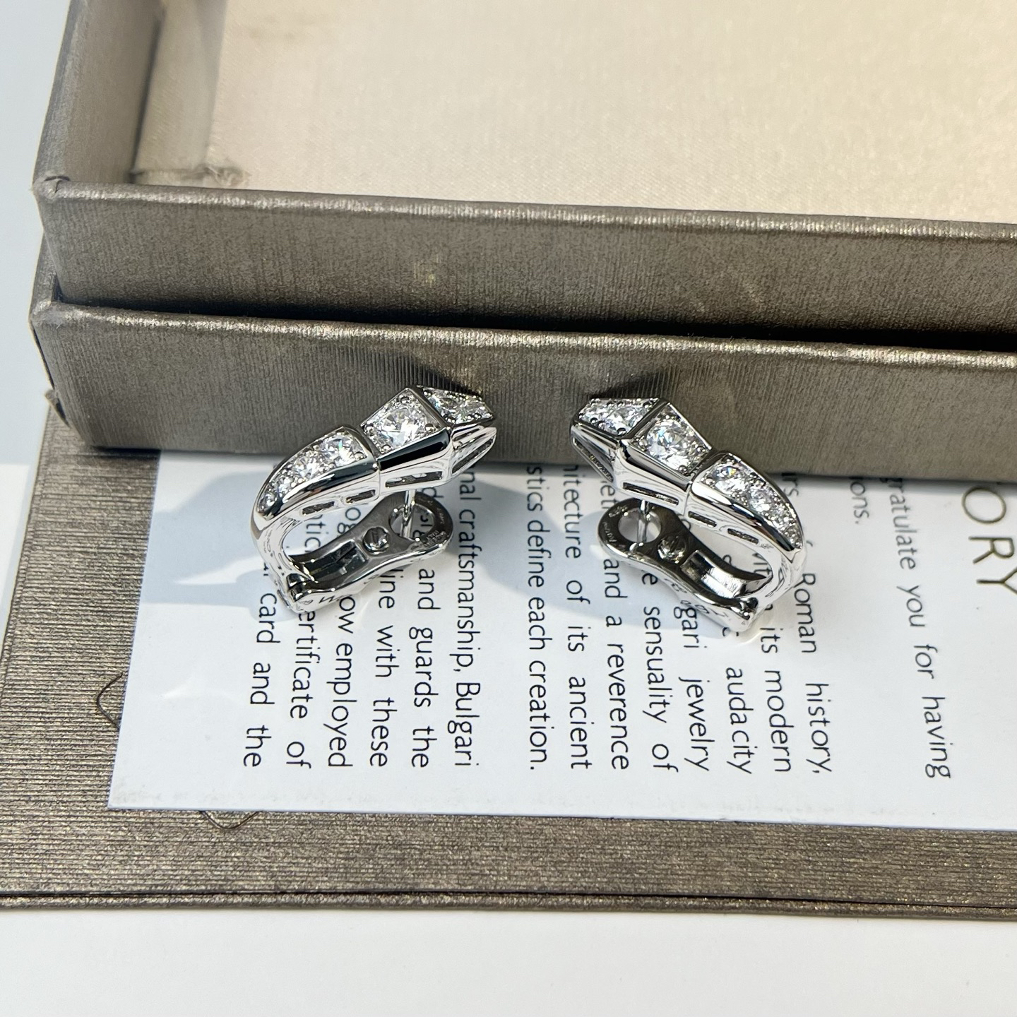 Bottega Veneta earrings-44