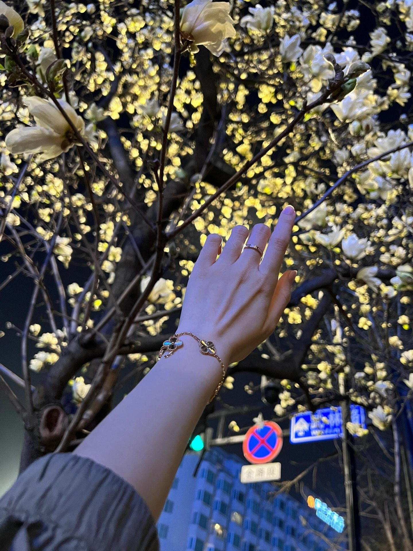 Van Cleef & Arpels Bracelet-89