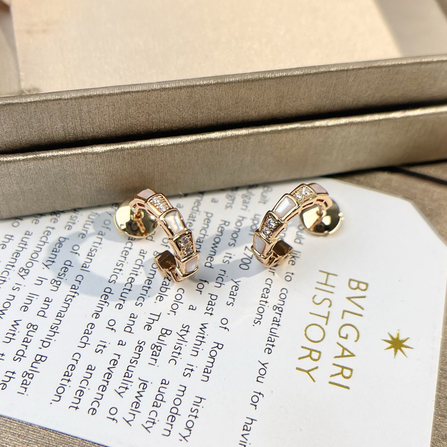 Bottega Veneta earrings-47