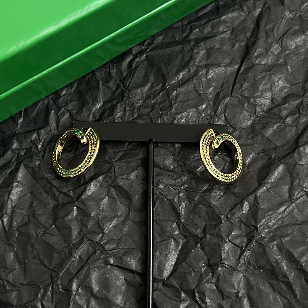 Bottega Veneta earrings-12