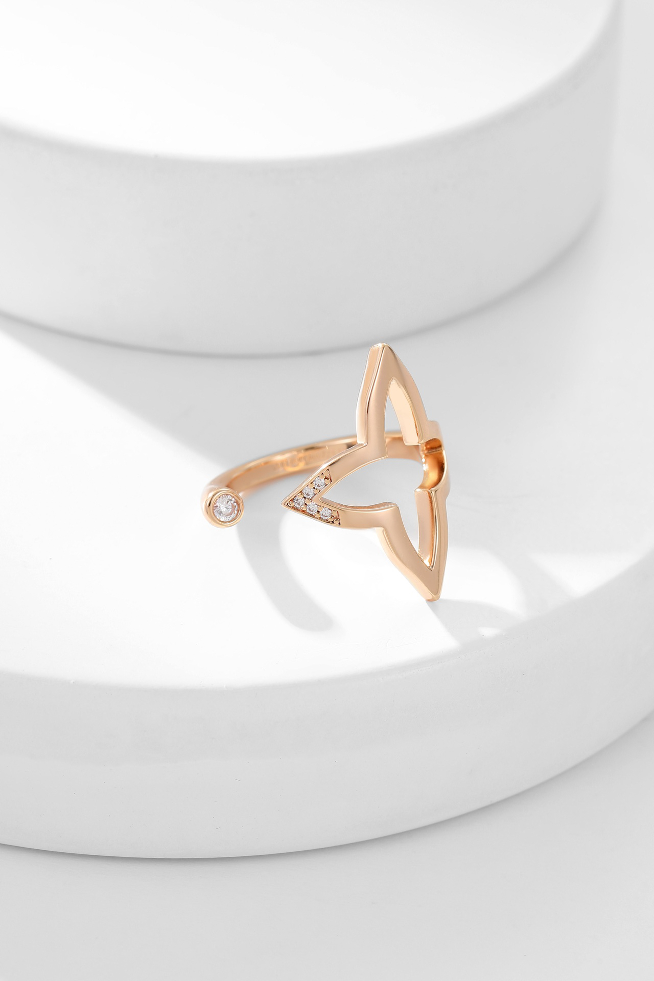 LV ring-17