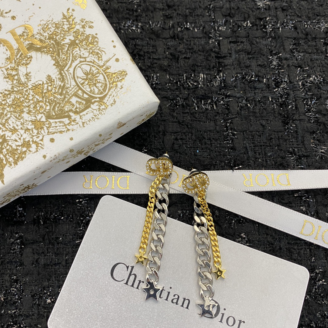 Dior earrings-85