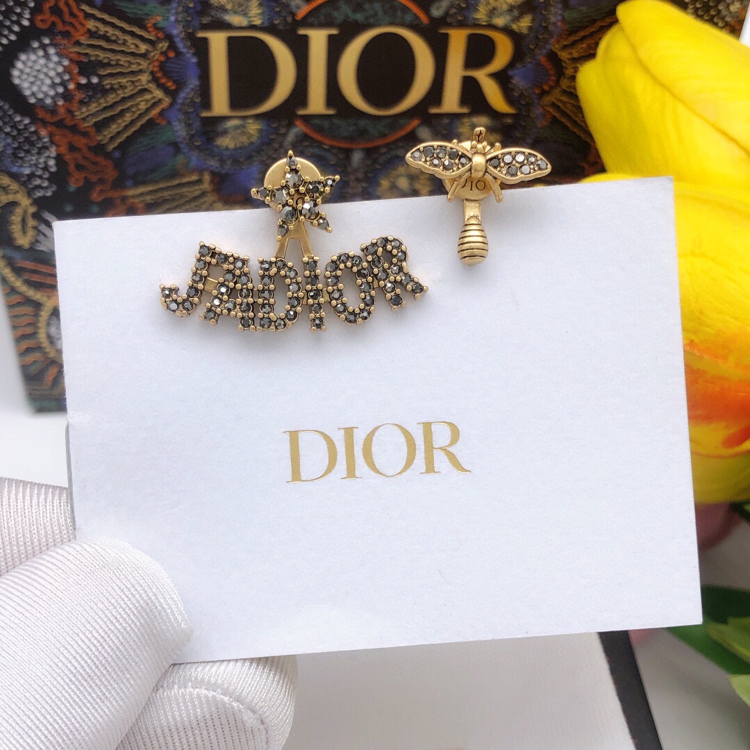 Dior earrings-80