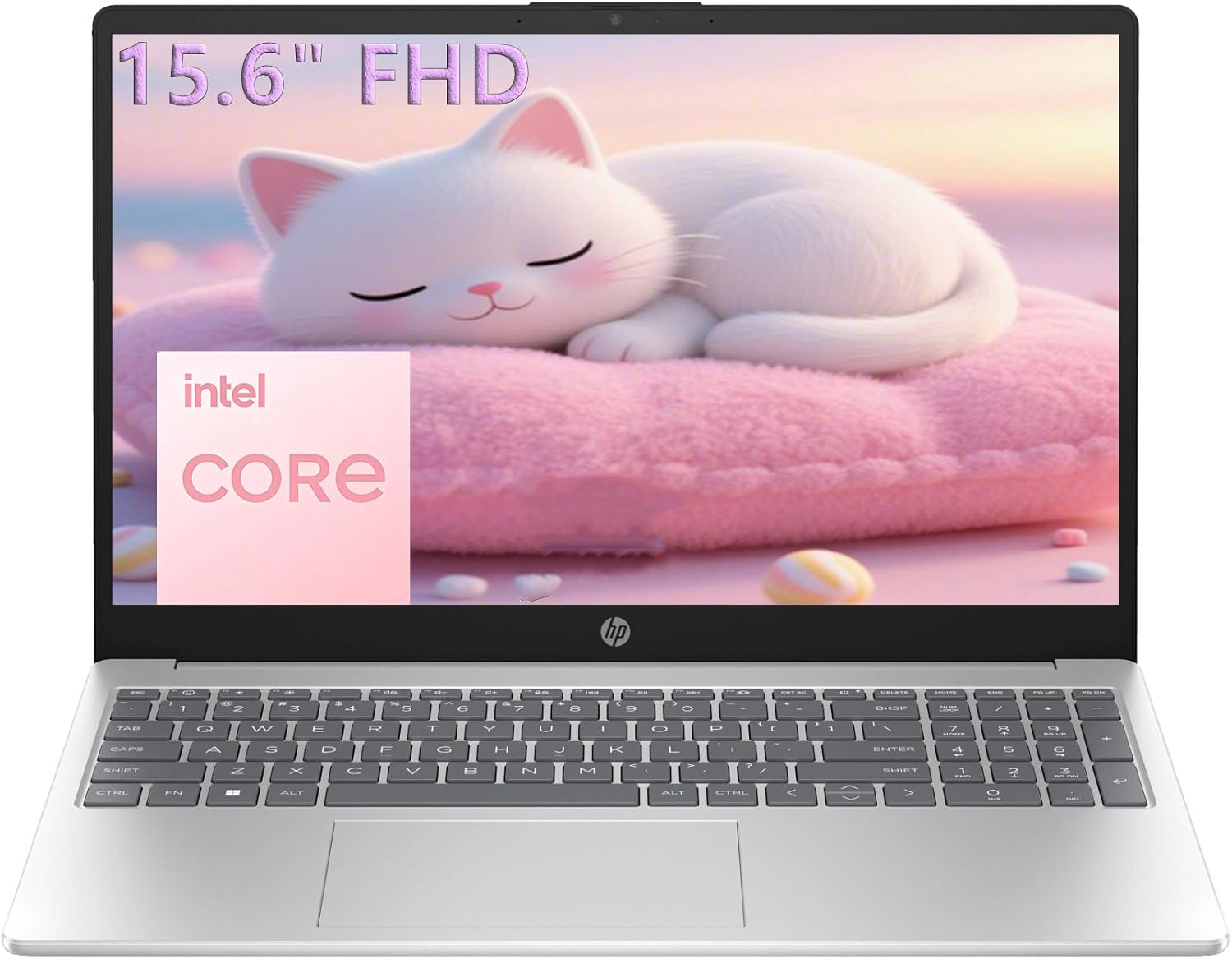 HP 15.6